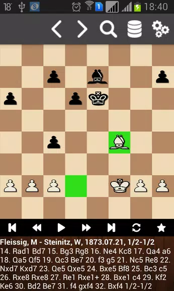 Партии Вильгельма Стейница Скриншот 0