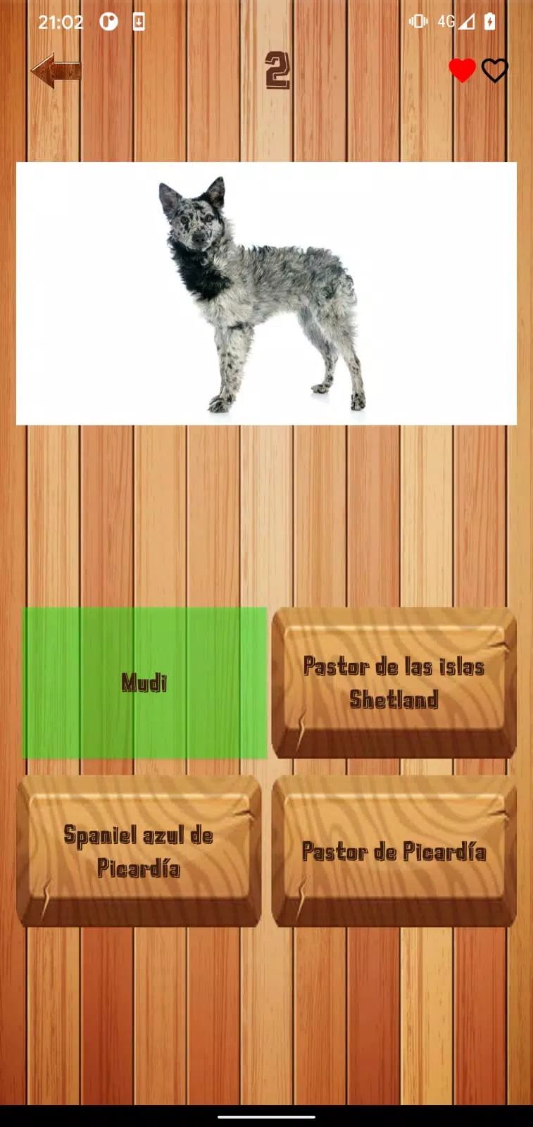 Guess dog breed スクリーンショット 1