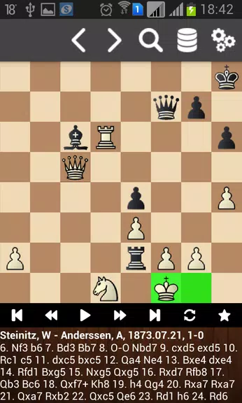 Партии Вильгельма Стейница Скриншот 1