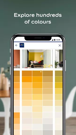 Dulux Visualizer ZA 스크린샷 1