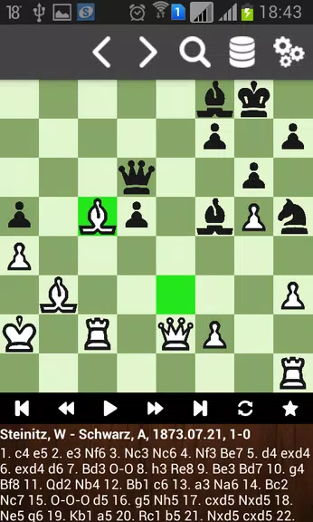 Партии Вильгельма Стейница Скриншот 3