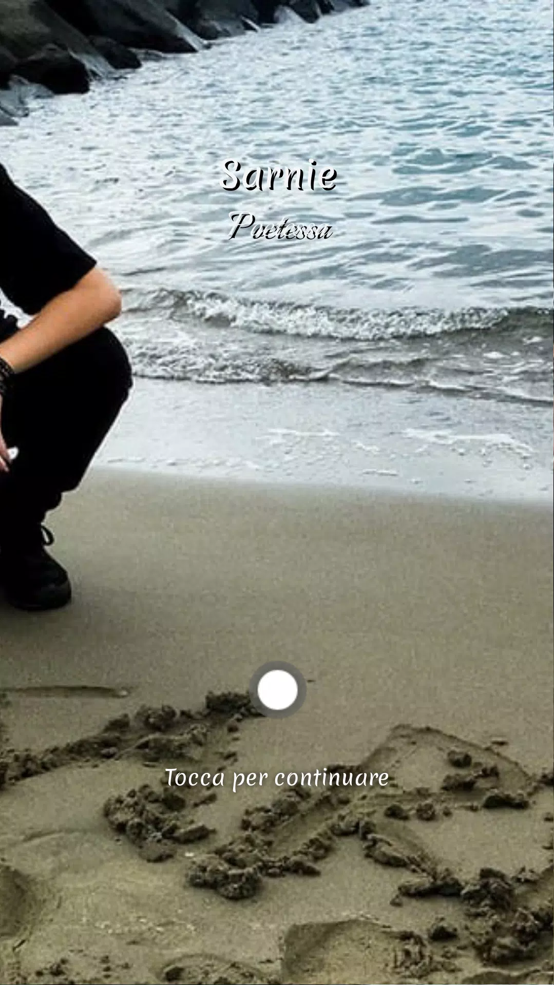 Sarnie 스크린샷 0