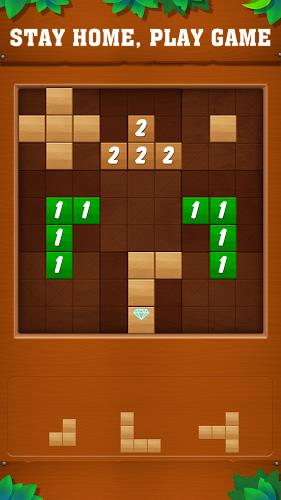Tetrudoku: Block Puzzle Captura de pantalla 0