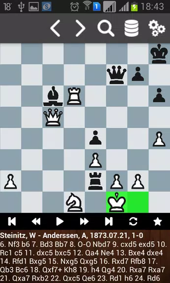 Партии Вильгельма Стейница Скриншот 2